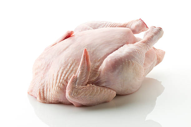White Chicken